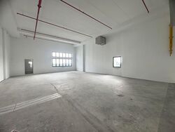 Ct Foodnex (D25), Factory #566886101